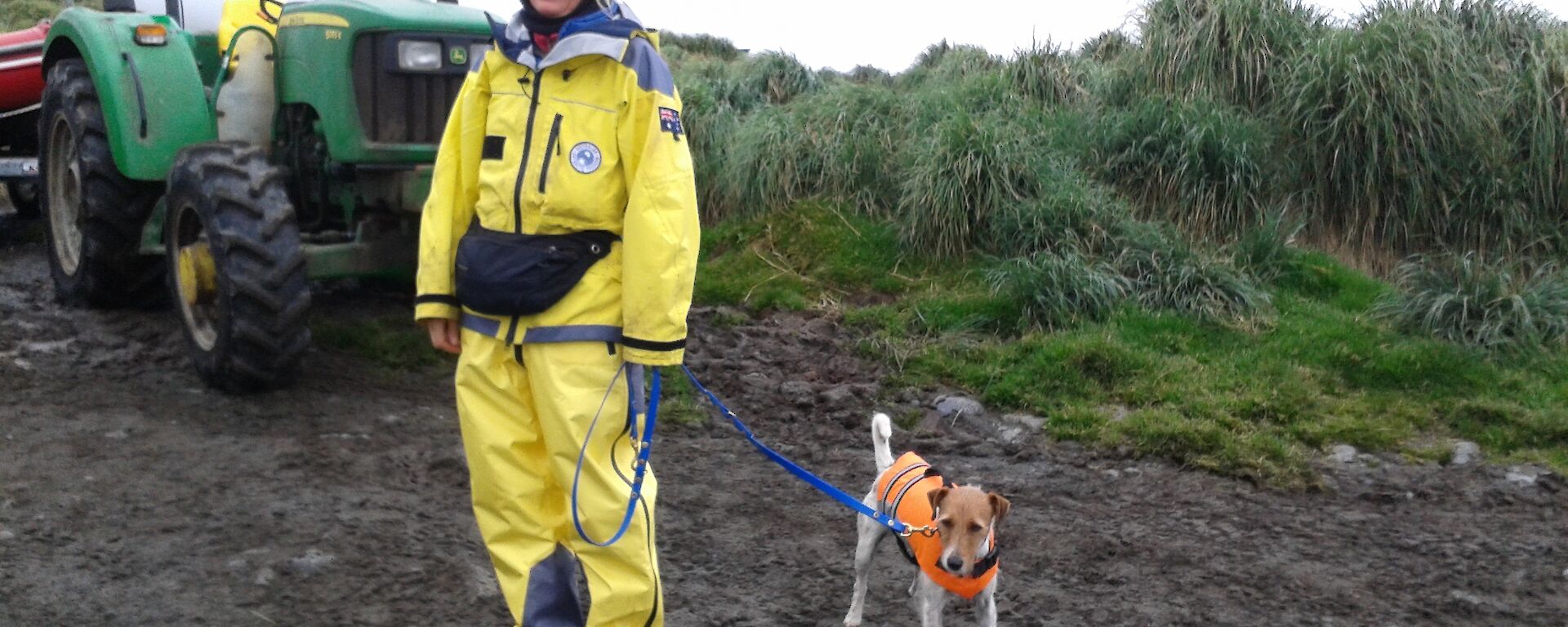 The Biosecurity Officer Sue Robinson and Nui the dog wearing his life jecket head for the IRBs at Landing Beach, Macquarie Island