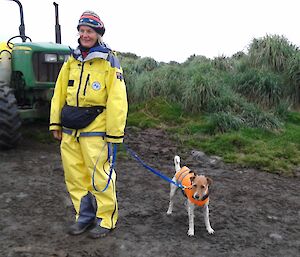 The Biosecurity Officer Sue Robinson and Nui the dog wearing his life jecket head for the IRBs at Landing Beach, Macquarie Island