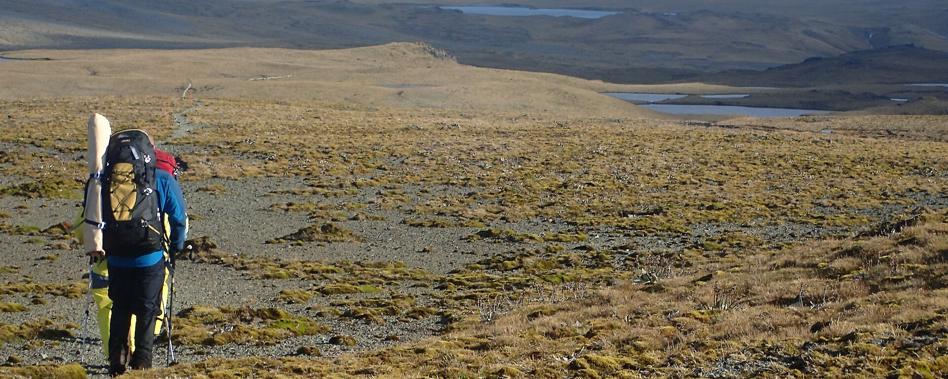 Richard Youd leading a group for field training on the Varne Plateau, Macquarie Island this week