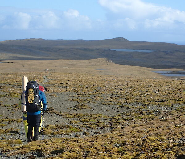 Richard Youd leading a group for field training on the Varne Plateau, Macquarie Island this week
