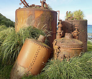 Several rusting digesters among the tussock at the Nuggets, Macquarie Island, used to obtain oil from penguins during the late 1800's