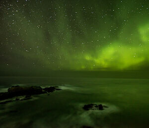 A bright green aurora seen looking out over Garden Cove from Hut Hill on Macquarie Island this week