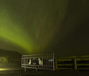A green aurora fills the dark night sky and looks as if it originates from the station gate