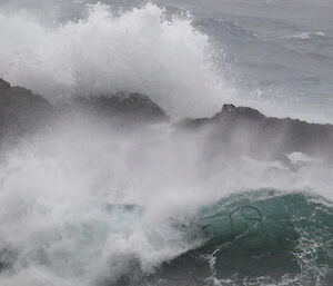 Waves crash over the rocks at the entrance to Garden Cove on Macquarie Island this week