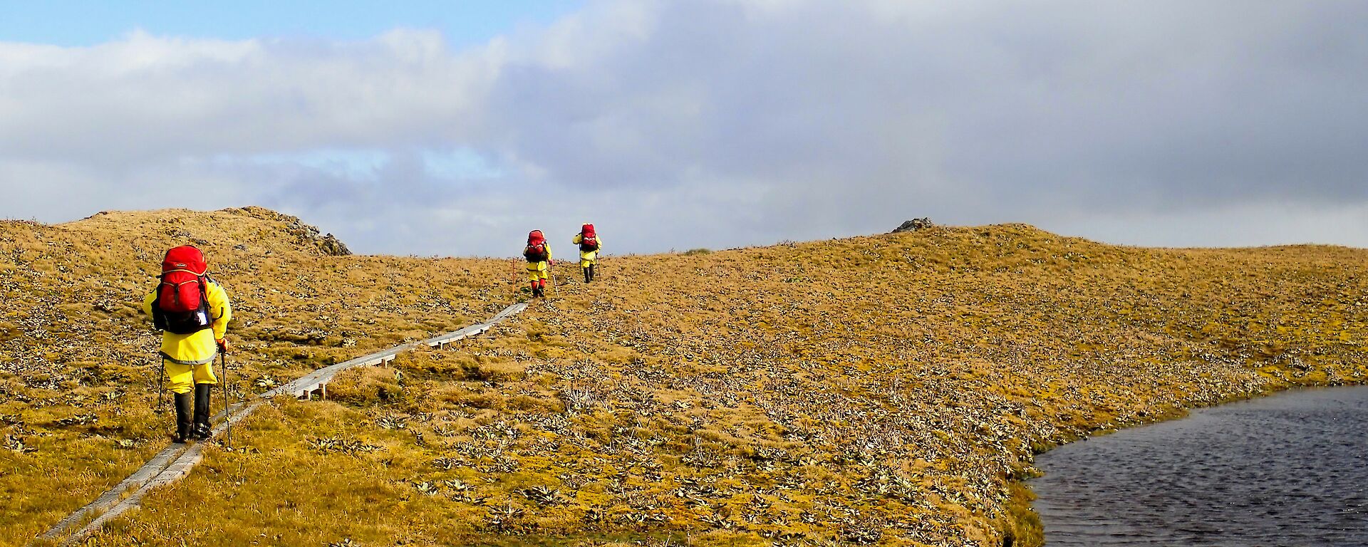 Danielle McCarthy, Peter Lecompte, Annette Fear and Richard Youd hiking the Inland Lake Track heading towards Bauer Bay hut on Macquarie Island