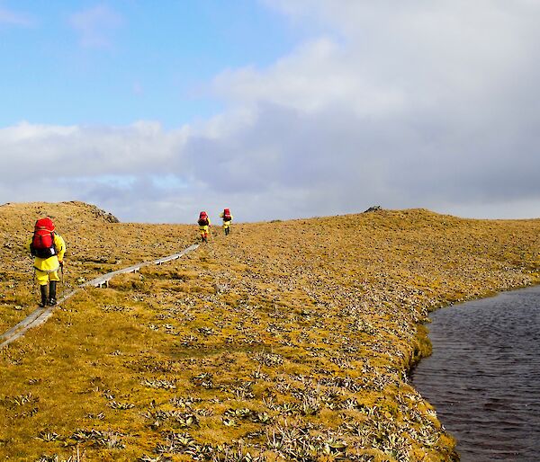 Danielle McCarthy, Peter Lecompte, Annette Fear and Richard Youd hiking the Inland Lake Track heading towards Bauer Bay hut on Macquarie Island