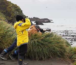 Rich Youd and Ali Dean watching the Hookers sea lion in Buckles Bay off Macquarie Island recently