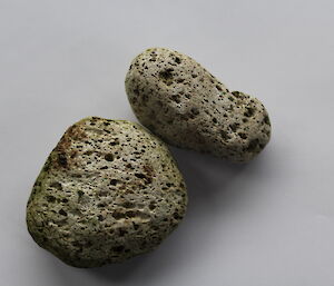 Two pieces of pumice found on Macca beaches