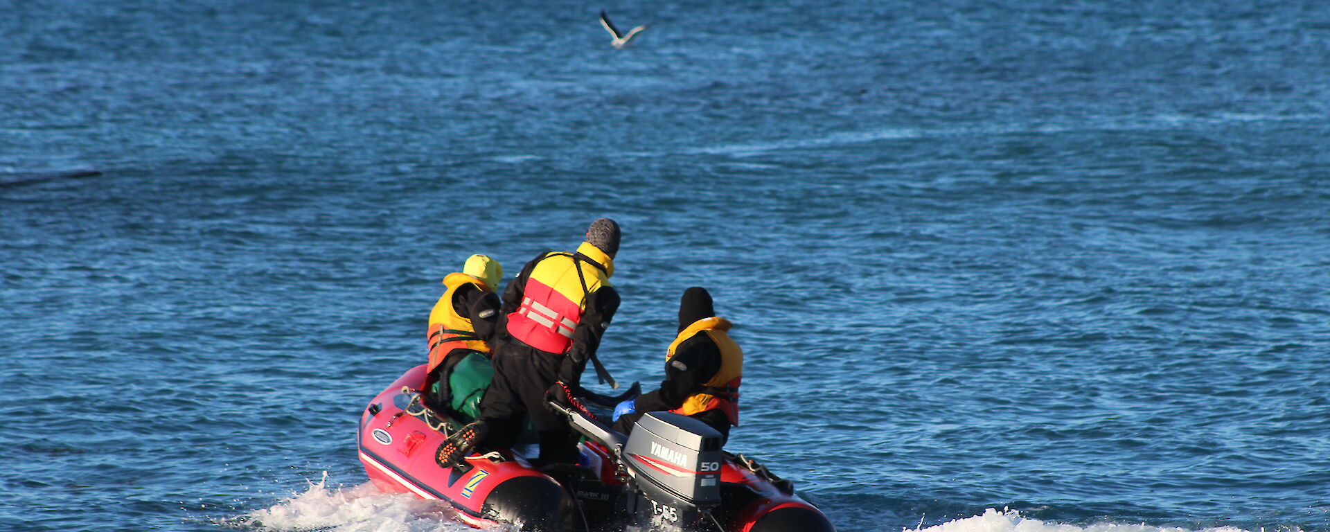 Richard Youd, Cathryn O'Sullivan and Peter Lecompte in an IRB offshore in Buckles Bay