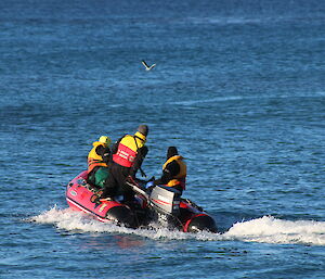 Richard Youd, Cathryn O'Sullivan and Peter Lecompte in an IRB offshore in Buckles Bay