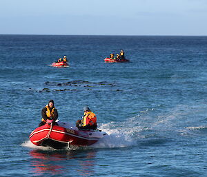 Chris Howard coming in to land his IRB at Landing Beach, Macquarie Island