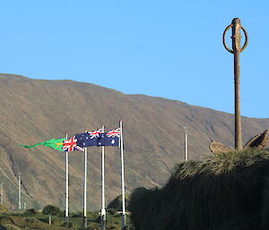 The Australian, New Zealand, Union Jack and ANARE flags flying on a sunny clear (briefly) Midwinter’s Day on Macquarie Island