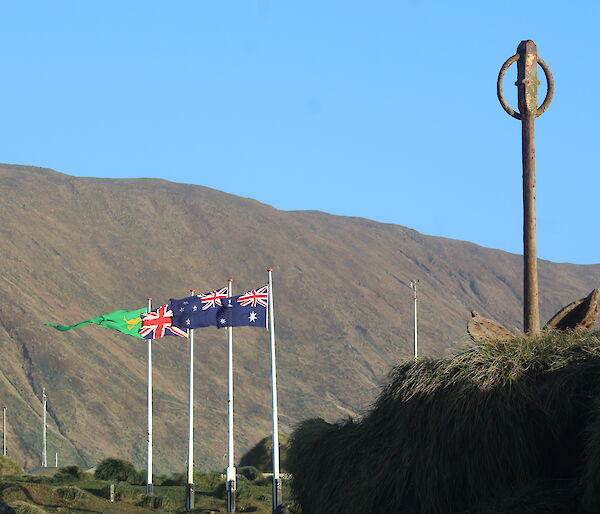The Australian, New Zealand, Union Jack and ANARE flags flying on a sunny clear (briefly) Midwinter’s Day on Macquarie Island