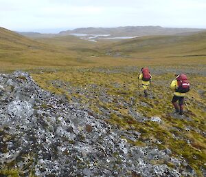 Danielle and Annette with packs heading towards Sellick Bay on Macquarie Island