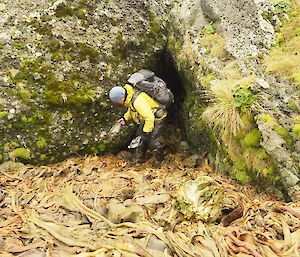 Ranger Chris retrieves a plastic bottle from a stinky slippery pile of rotting seaweed