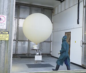 Danielle in safety gear prepares to release a Hydrogen filled balloon with ozone & radio sondes attached