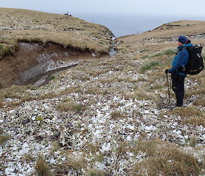 Rich heads down to Gadgets Gully from Doctors Track