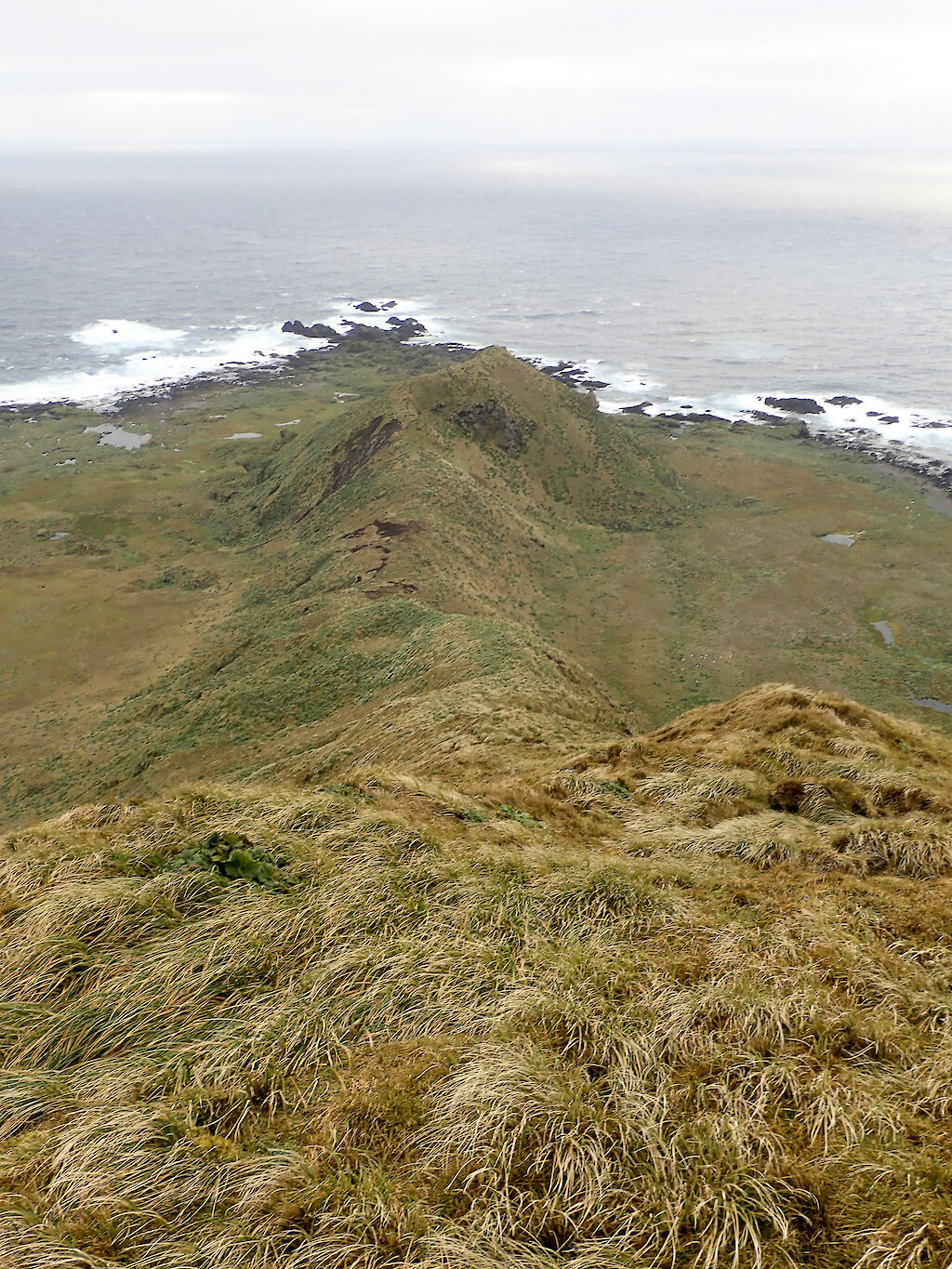 This week at Macquarie Island 3 August 2018 — Australian Antarctic Program