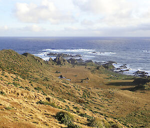 Looking out over the northern side of Mawson Point just south of Bauer Bay on Macquarie Island