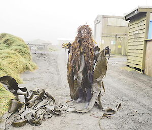 Danielle dressed in kelp for the Macca entry in the 2018 48 hour Antarctic film festival