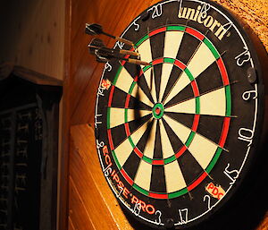 An excellent darts throw in the recent Macca Darts Competition