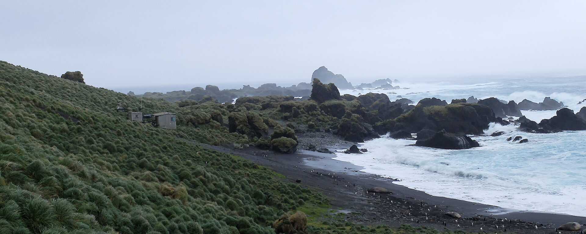 View of Hurd Point hut, Macquarie Island.