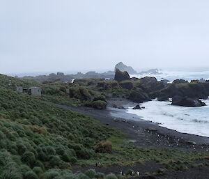 View of Hurd Point hut, Macquarie Island.