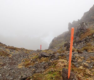 Top markers for the Jump Down heading into Far North Precarious Bay on a misty Macca day
