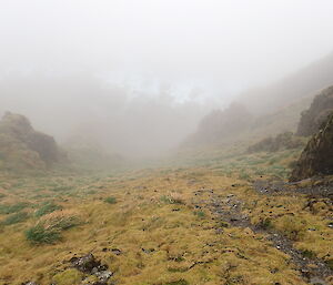 Having dropped about 50m down from the top of the Far North Precarious Bay Jump Down, the view and terrain changes from feldmark into some short grasses, but then tussock