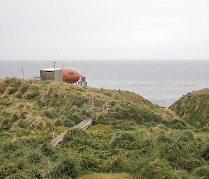 Brothers Point Googie on Macquarie Island, 2018