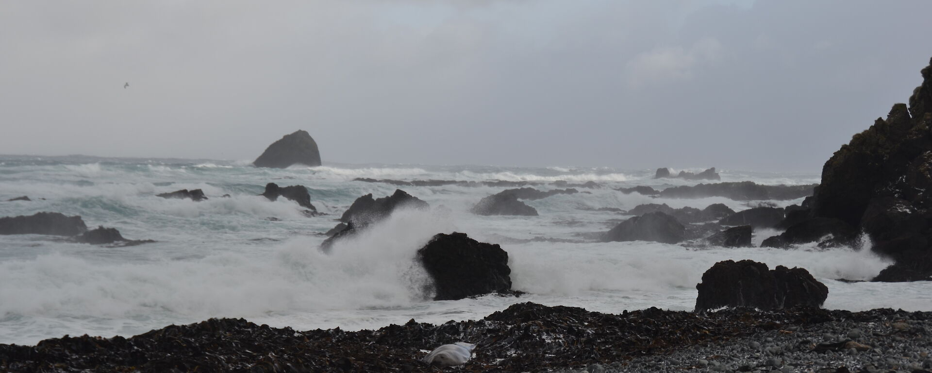 A view taken out to sea in Hasselborough Bay on Macca’s west coast with a succession of larger breaking waves coming in