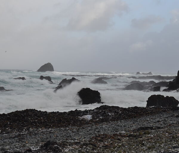 A view taken out to sea in Hasselborough Bay on Macca’s west coast with a succession of larger breaking waves coming in