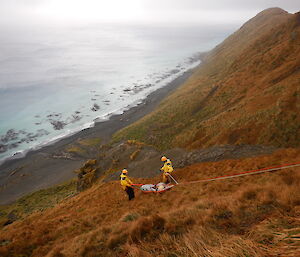 Jez, Greg and stretcher-bound Angus being lowered gradually down the hill by rope in the recent SAR exercise on Macca