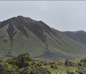 A panorama of Hurd Point