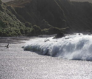 The waves rolling in at Green Gorge