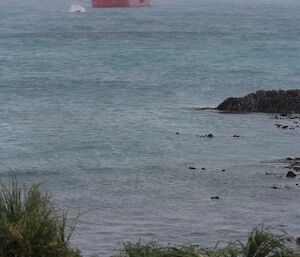 L'Astrolabe’s red RIB in the water with the first load of passengers