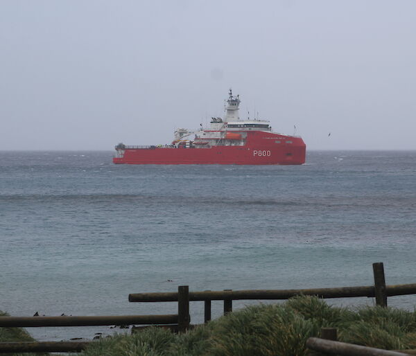 L'Astrolabe sailing past Garden Bay to take up position in Buckles Bay ready for passenger and cargo transfers