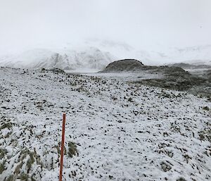 A view of a snowy Macca with an orange marker in the foreground