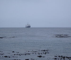 The cruise ship Spirit of Enderby in Buckles Bay