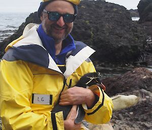 A Parks & Wildlife Ranger about to release a rockhopper penguin after sampling