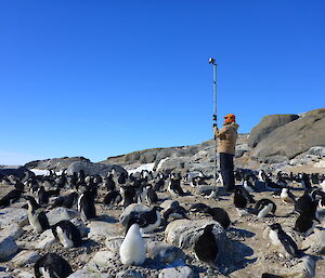 A camera on a pole for photography penguin colonies