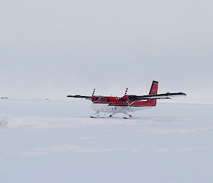 Twin Otter light plane landing at Rumdoodle