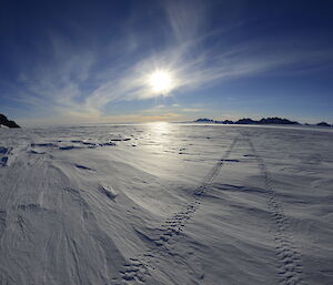 Quad Bike tracks in the snow going towards the North Masson Ranges