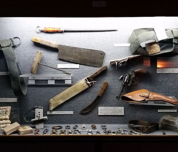 A display case with items used to care for dogs on station