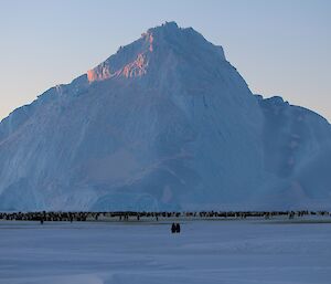 The emporer penguin rookery with a magnificent iceberg in the background