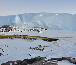 A view of the penguin rookery with the spectacular Taylor glacier in the background.