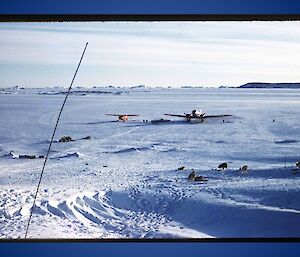 Planes and dogs at Mawson 1960.