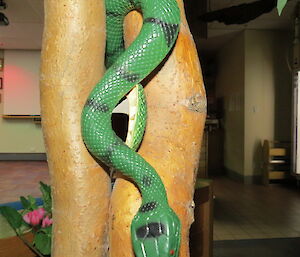 A plastic snake seemingly slithers down a pot plant.