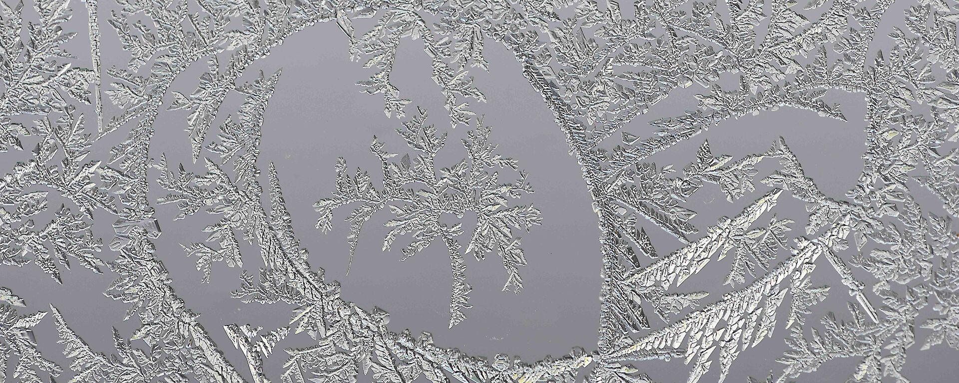 Ice crystals are of a leaf shape in a spiral