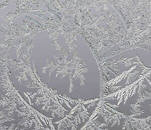 Ice crystals are of a leaf shape in a spiral